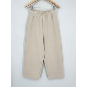 Aritzia The Group Babaton Powell Pants Fleece Paperbag Wide Leg Crop Sweatpants